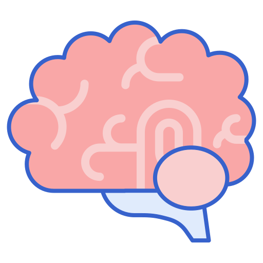 a brain illustration